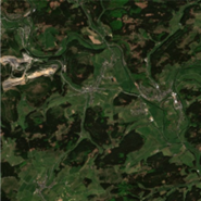 RGB Bild Wald Sentinel 2