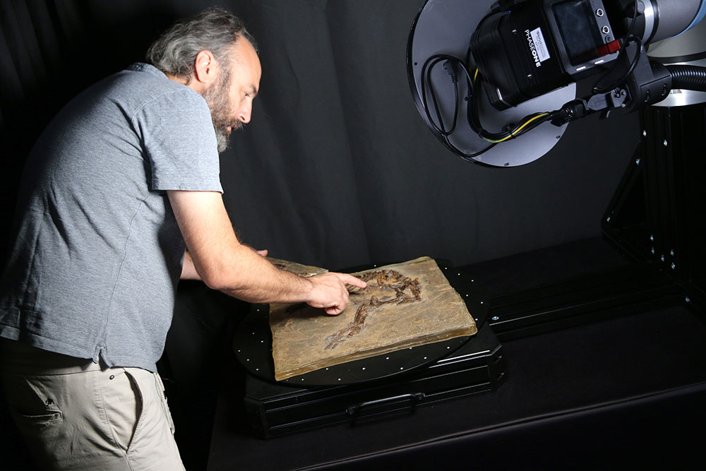 Urpferdchen Scan An employee of the Messel Pit places the fossil under the autonomous 3D scanner.