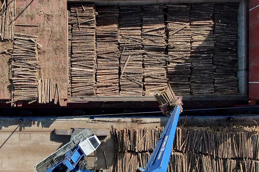 Timber being loaded at Rostock’s freight and fishing port: In the future, an acoustic warning system developed by Fraunhofer IGD will inform the dispatcher in the port authority if vessels in the Warnow fairway are at risk of collision with logs that have fallen into the water.